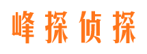 柳北市调查公司